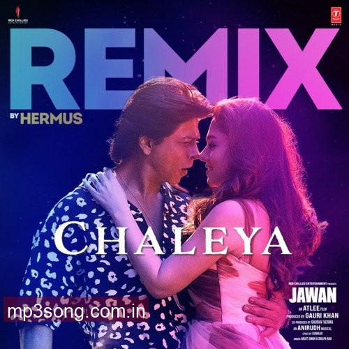 Chaleya Remix(Remix By Hermus)